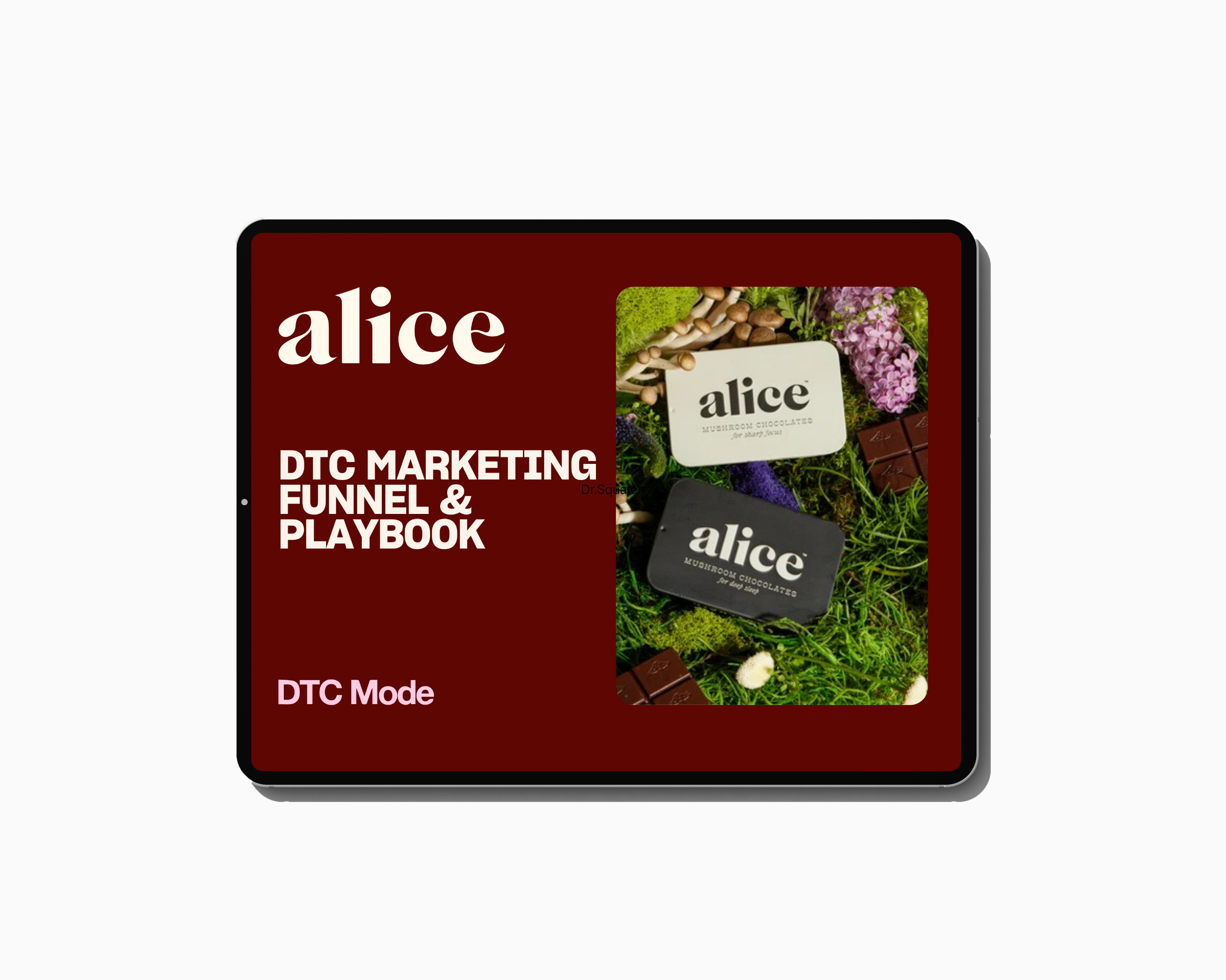 Alice Mushrooms MARKETING FUNNEL & PLAYBOOK