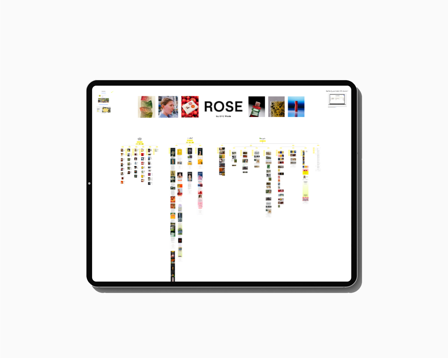 ROSE MARKETING FUNNEL & PLAYBOOK